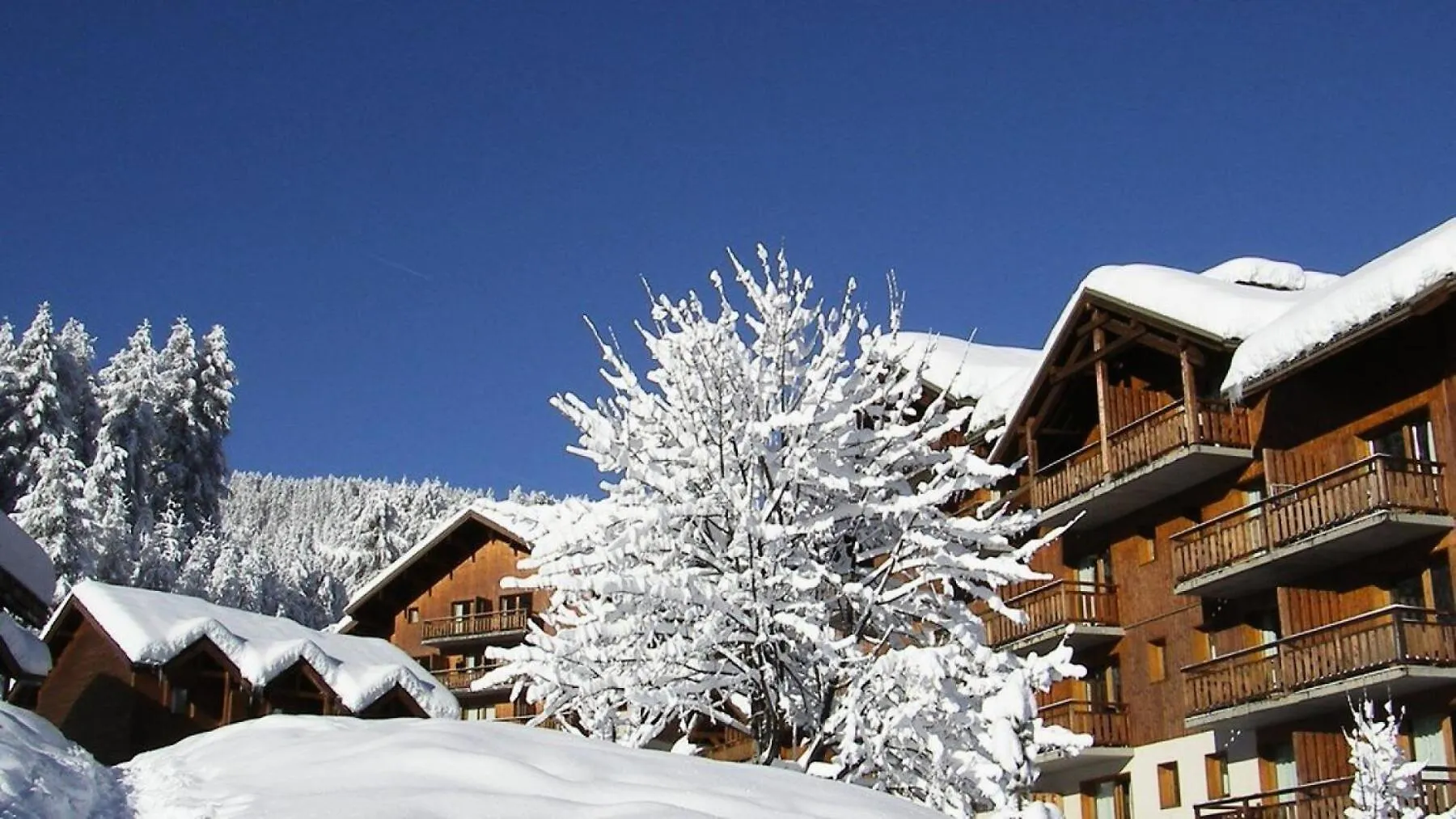 Apartment Residence Parc Aux Etoiles - A209Pae - Appartement 2 Chambres Avec Balcon Mae-8594